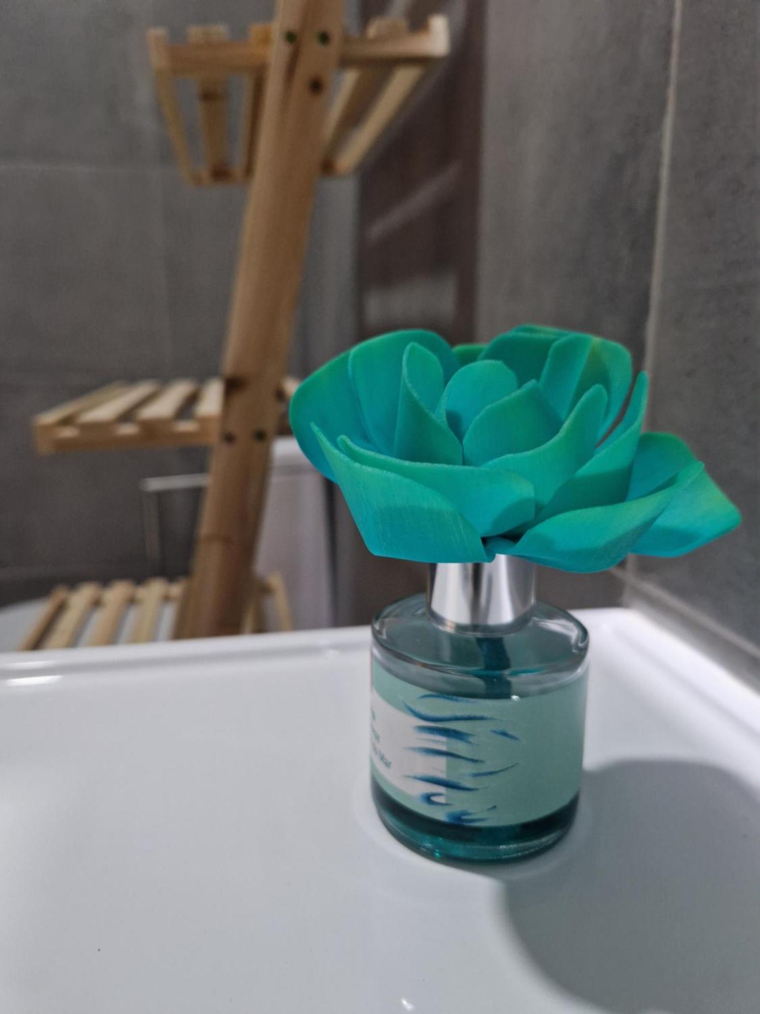 エヴォラCasa Do Leaoアパートメント エクステリア 写真